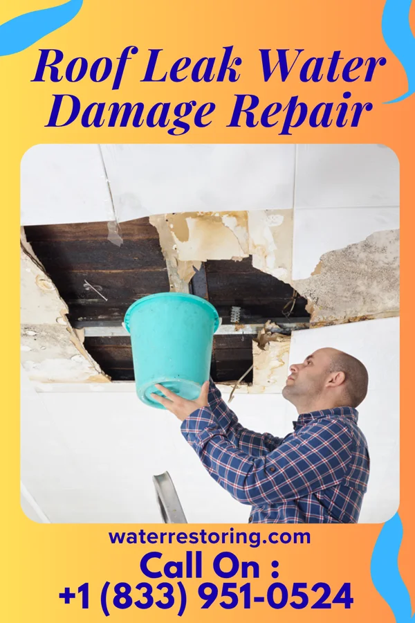 Roof Leak Water Damage Repair in Peshtigo, WI